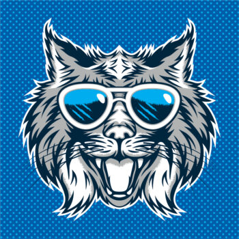 Erath Bobcats – Homecoming
