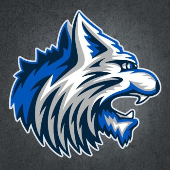 Erath Bobcats Mascot Logo