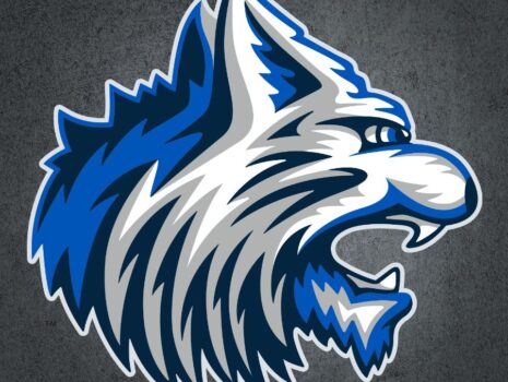 Erath Bobcats Mascot Logo