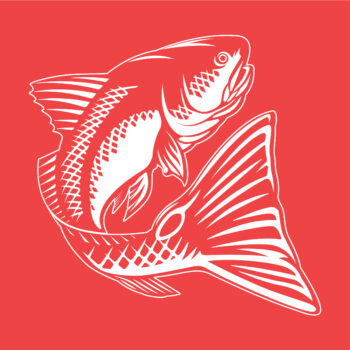 Gator Outfitters